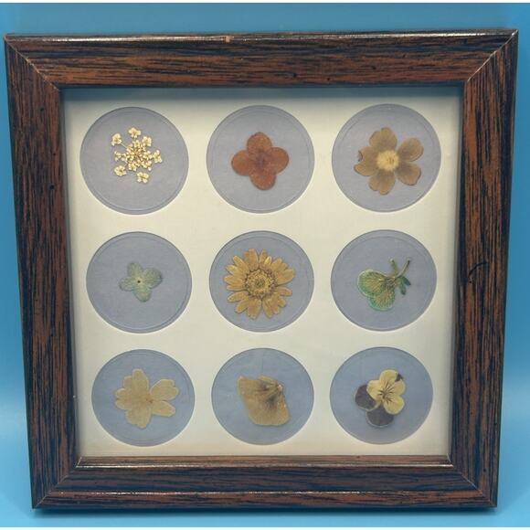 Vintage Small Dried Pressed Flowers In Frame Wall Hanging Decor 6” Square - Picture 1 of 6